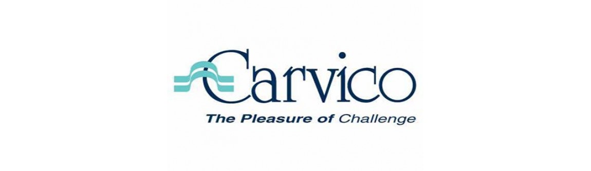Логотип Carvico